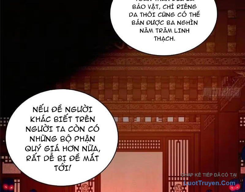 Chương 338