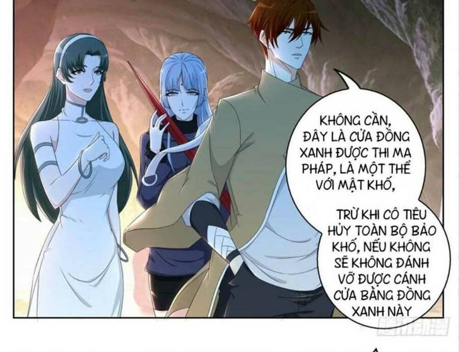 Chương 311