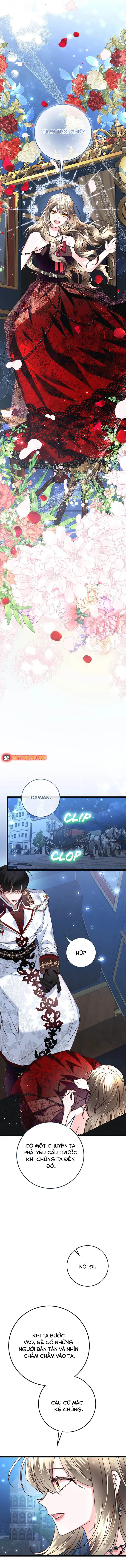 Chương 17