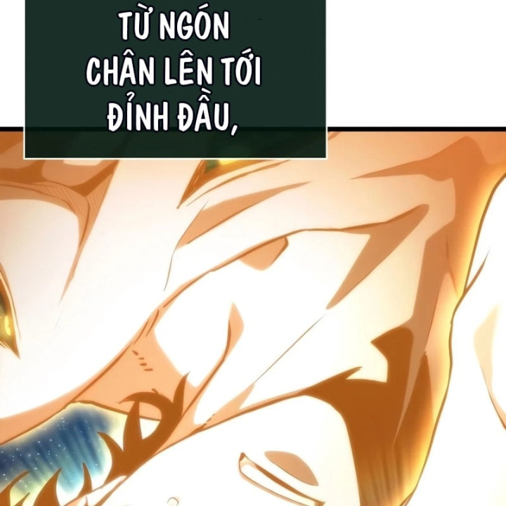 Chương 245