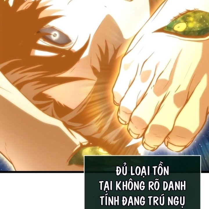 Chương 245