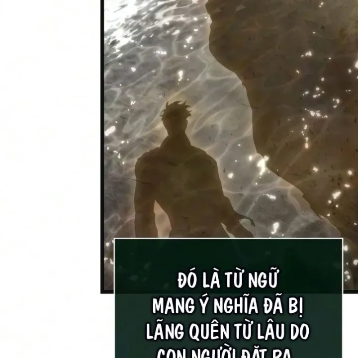 Chương 246