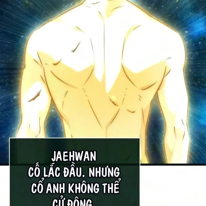 Chương 246
