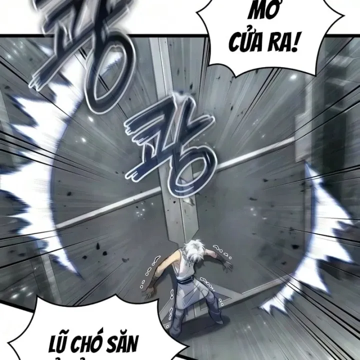 Chương 246