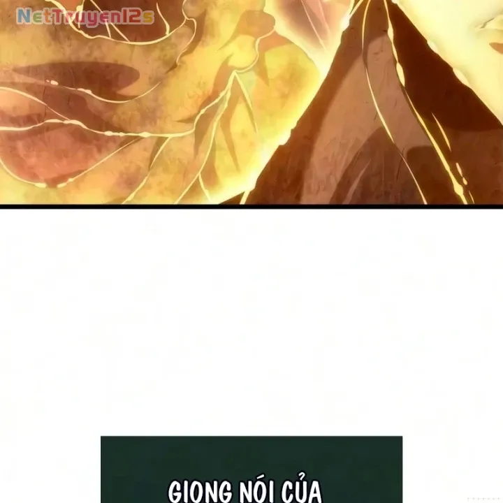Chương 247
