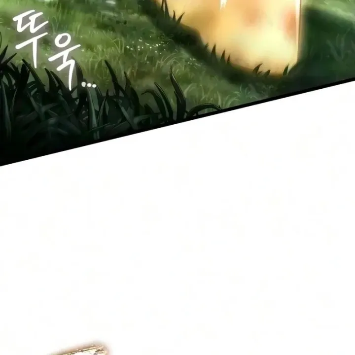 Chương 247