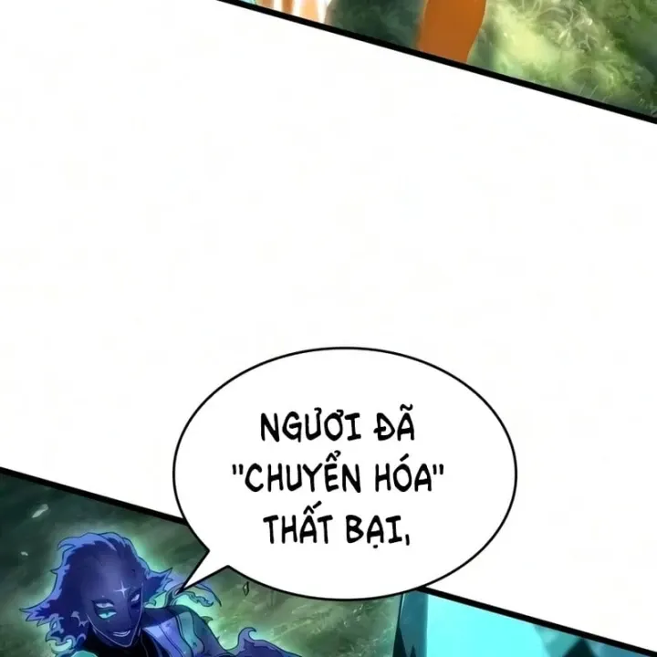 Chương 247