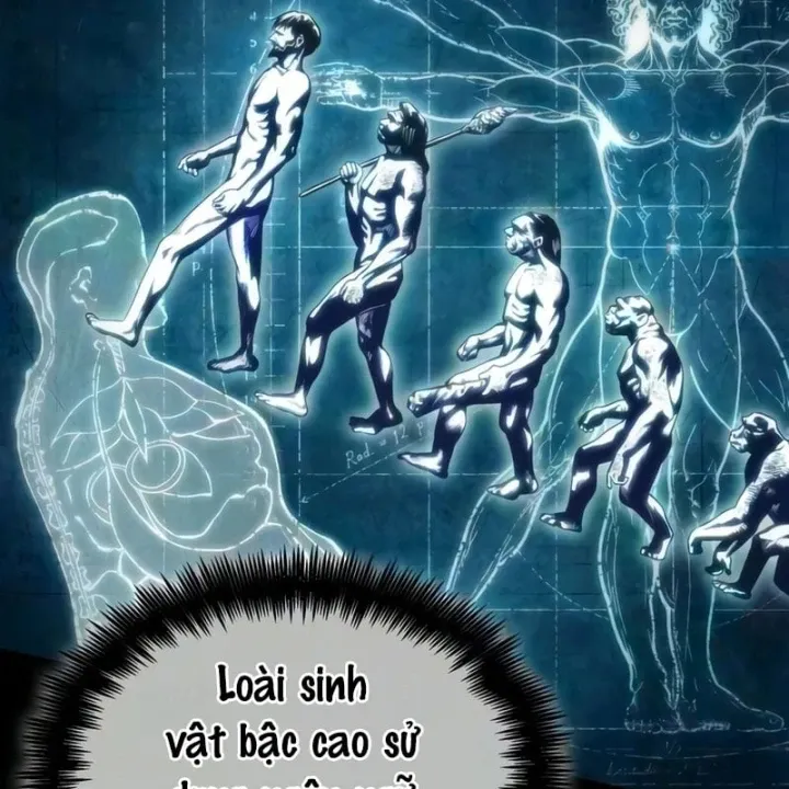 Chương 247