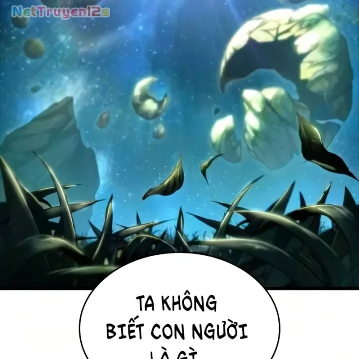 Chương 247