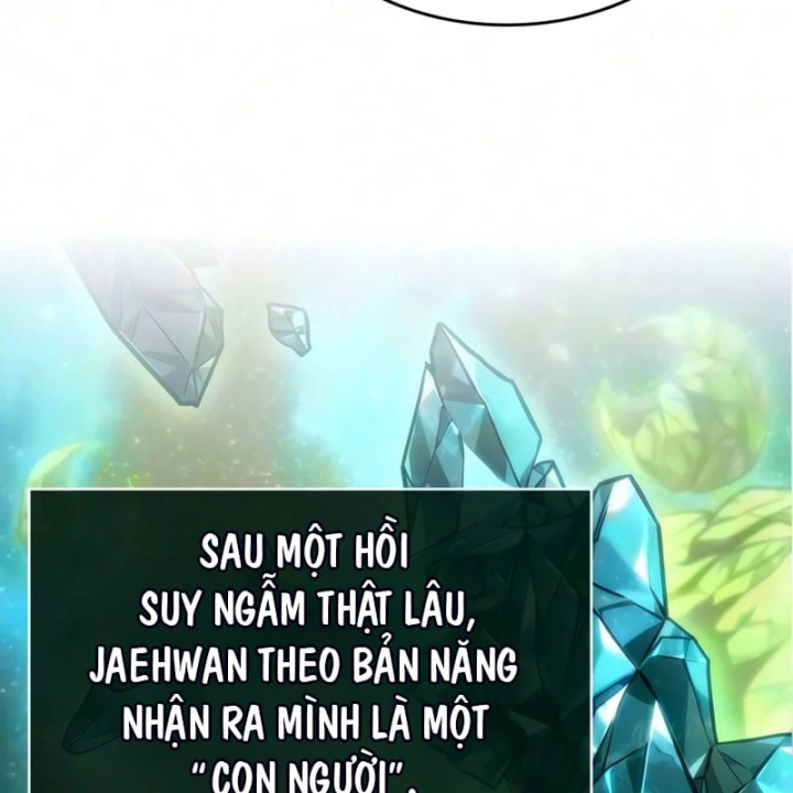 Chương 248