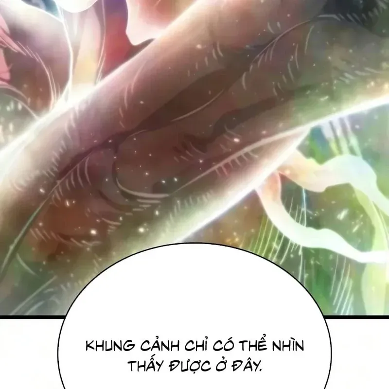Chương 249