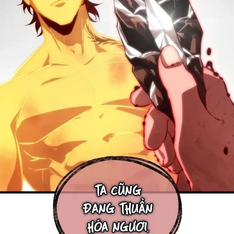 Chương 250